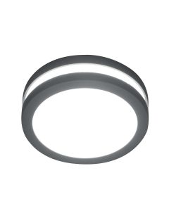 1 Light Wall / Ceiling Lantern - Graphite