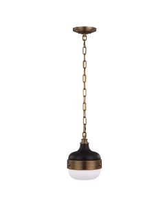 1 Light Mini Pendant - Black And Natural Brass