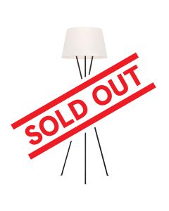 1 Light Floor Lamp - Aged Iron
