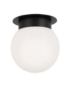 1 lt Ceiling Light - Black