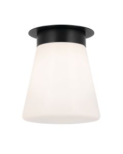 1 lt Ceiling Light - Black