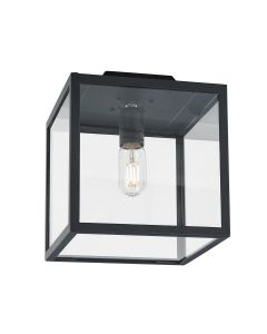 1 Light Flush - Black