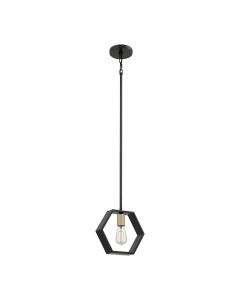 1 Light Mini Pendant - Black With Brass