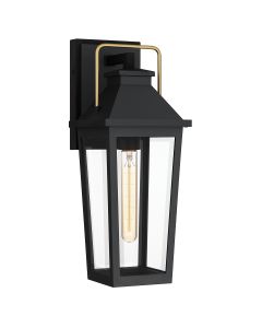1 lt Coastal Medium Outdoor Wall Lantern - Matt Black & Brass Accent