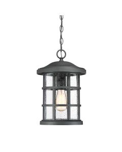 1 Light Medium Chain Lantern - Black