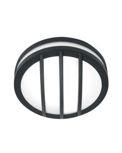 1 Light Wall/Ceiling Lantern - Graphite