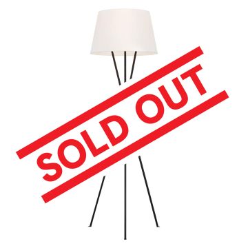 1 Light Floor Lamp - Aged Iron