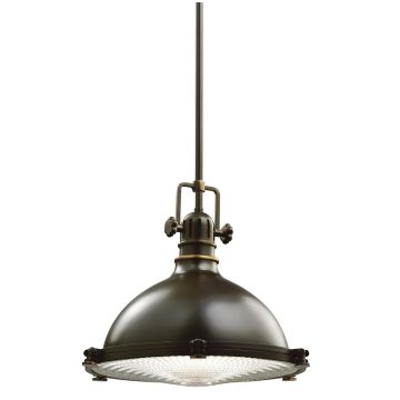 1 Light Medium Pendant - Olde Bronze - Oil Rubbed Bronze