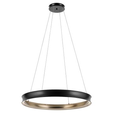 LED Large Pendant - Black & Brass