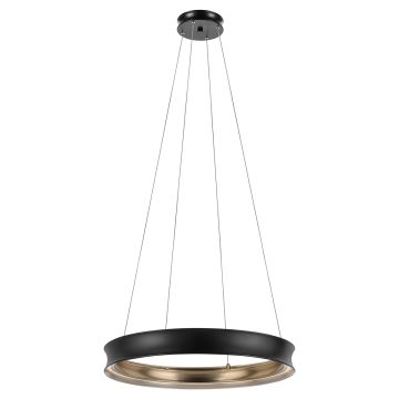 LED Medium Pendant - Black & Brass