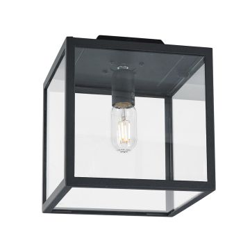 1 Light Flush - Black